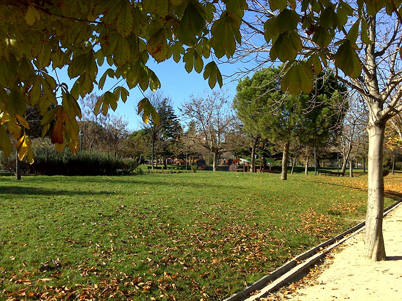 En este momento estás viendo La FAPA organiza una visita al Parque del Espinillo, el 20 de diciembre