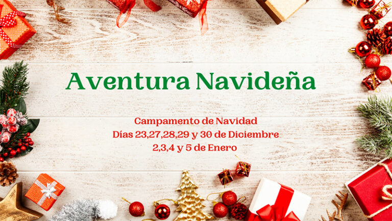 Lee más sobre el artículo Campamento de Navidad para alumnos del colegio EE. UU. de América